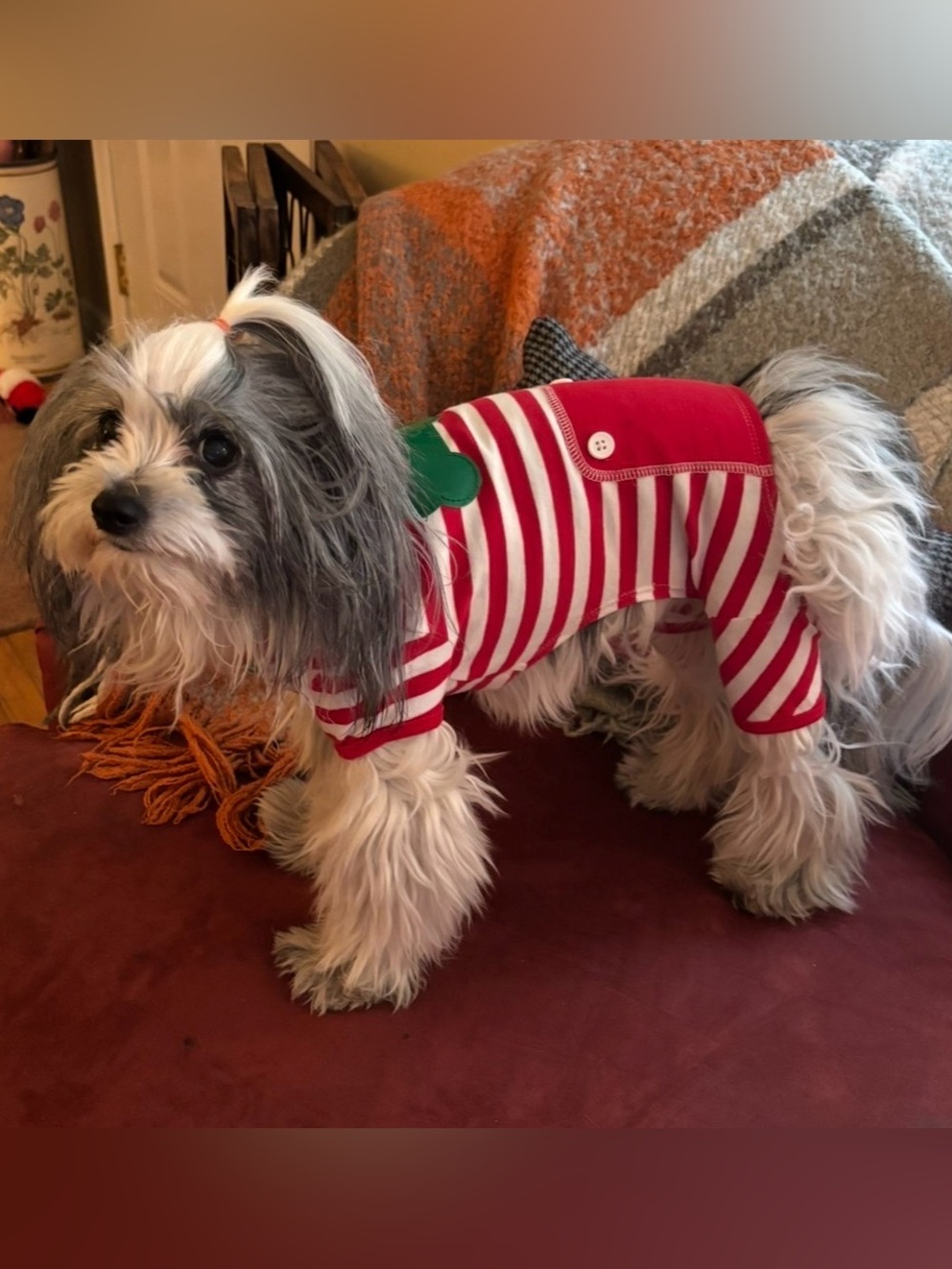 Simply Dog Red & White Stripe Long John Dog Pajamas Size S
